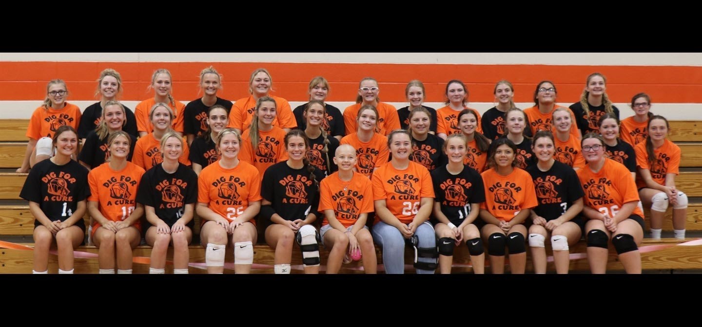 Dig for a Cure Volleyball Team